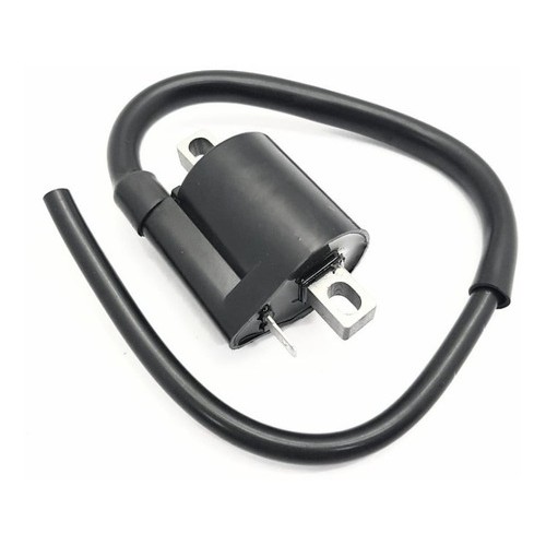 Bobina De Ignição C100 Biz Es 2000 À 2005