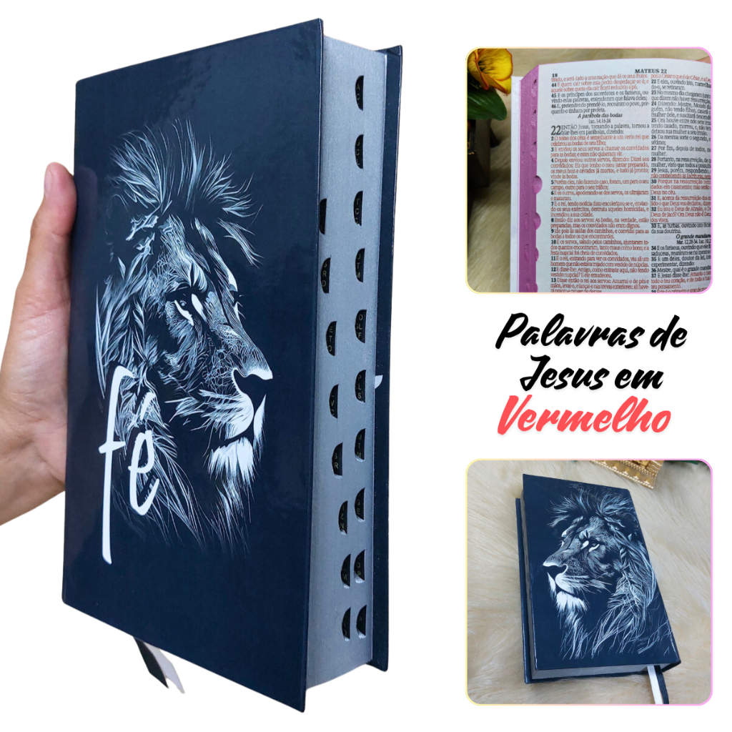Biblia Sagrada Letra Média Jovem Harpa Cristã Jo