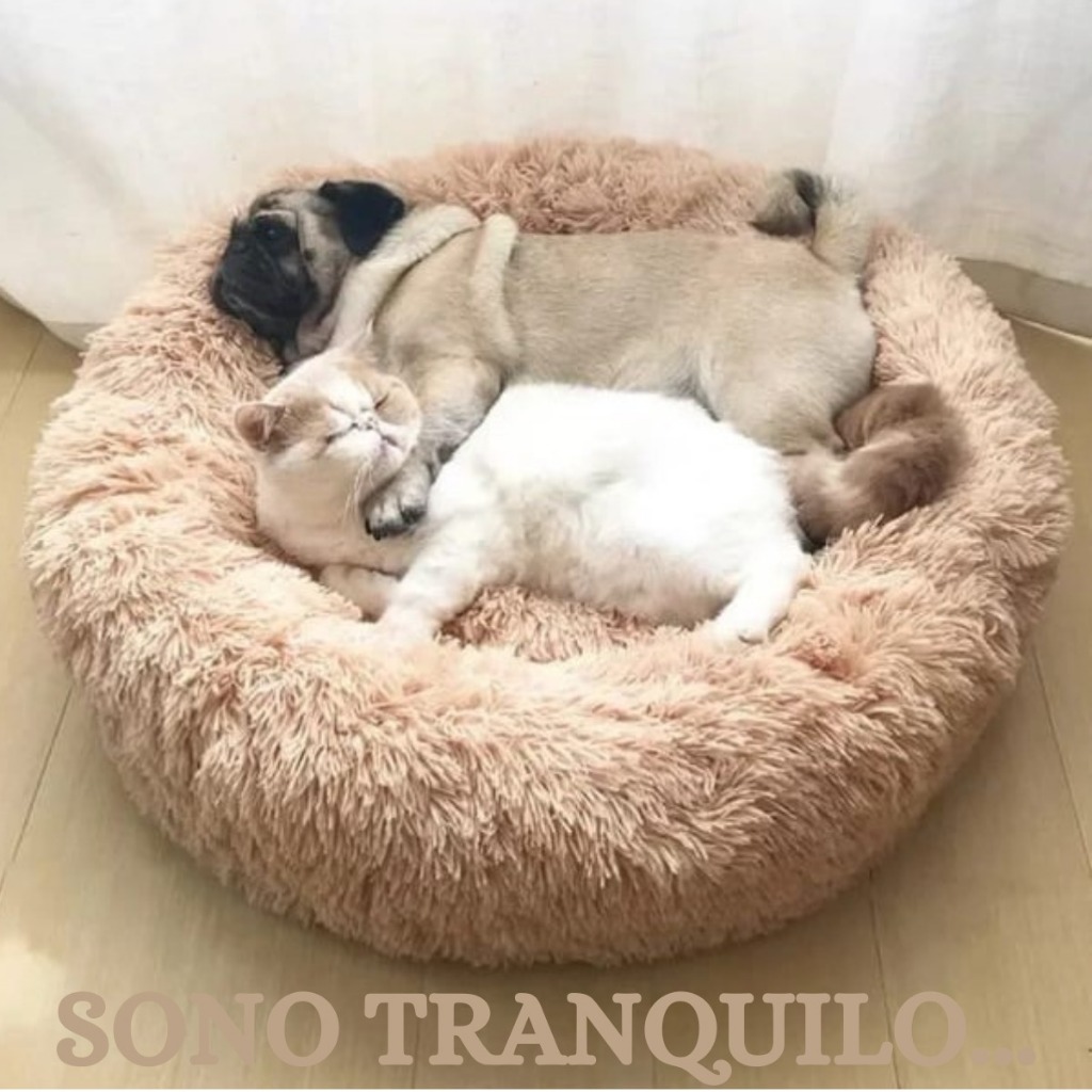 CAMA PET DONUT NUVEM PELUCIA REDONDA CAMINHA PELUC