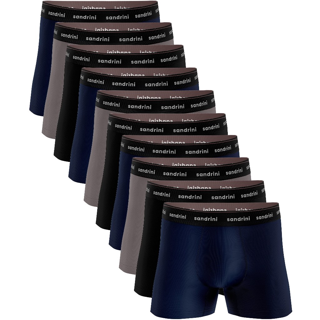 Kit 10 Cuecas Sandrini Boxer Algodão Box Masculin