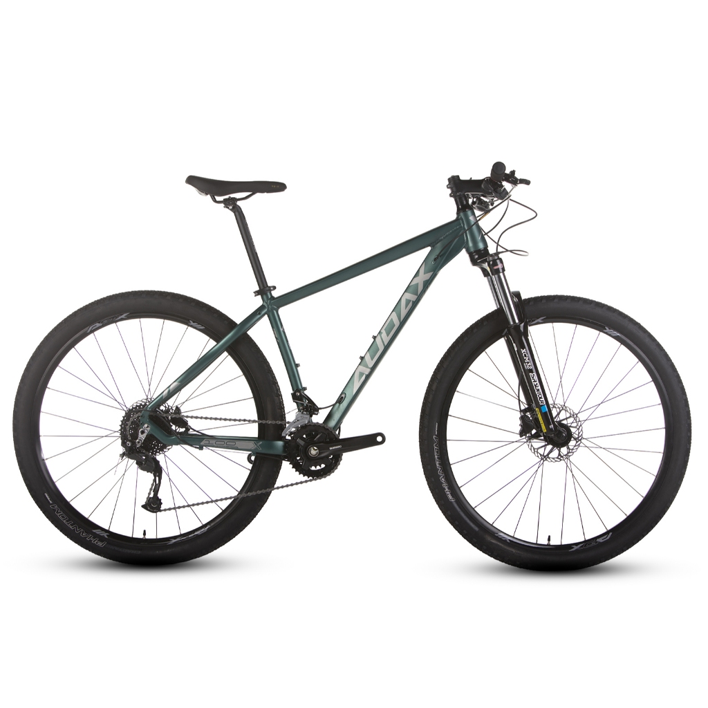 Bicicleta Aro 29 Mtb Audax Adx 100 Shimano Alivio 