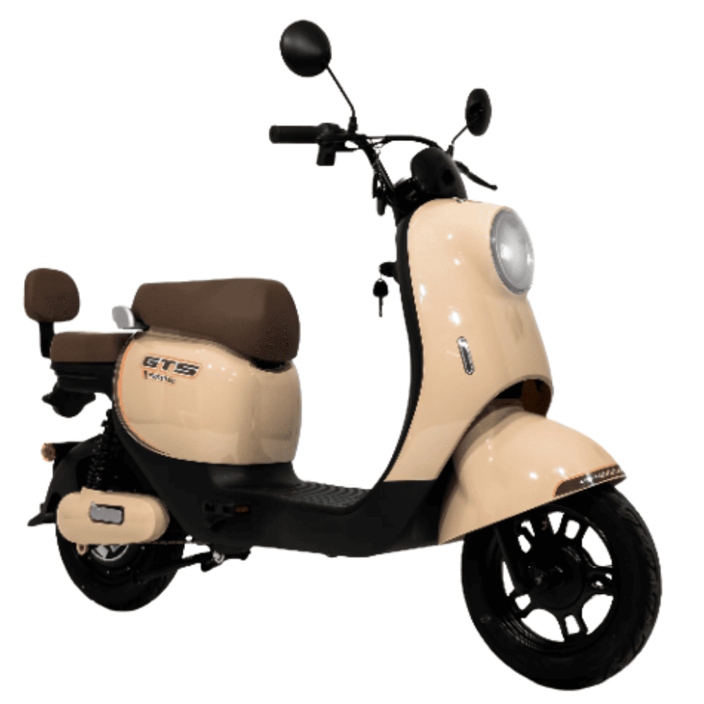 Scooter Retro 500w GTS Premiun