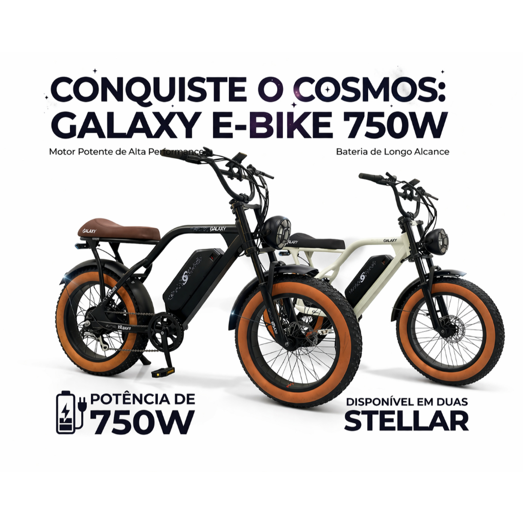 BICICLETA ELÉTRICA E-BIKE 750W 48V COM BATERIA L