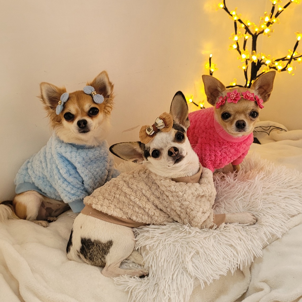 Roupa pet inverno casaco  de fleece para cachorro 