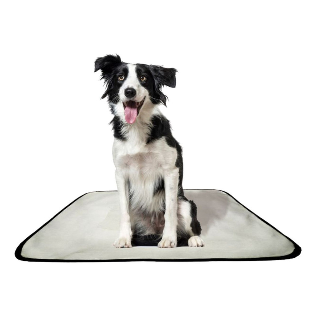 Tapete Pet Lavavél Cão Cachorro Dog Tamanho Gran