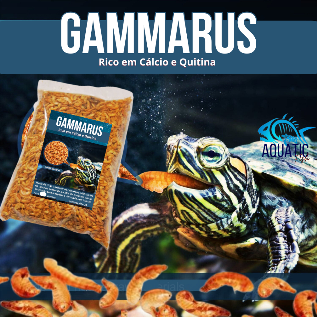 Gammarus Camarão para Tartarugas e Jabutis –