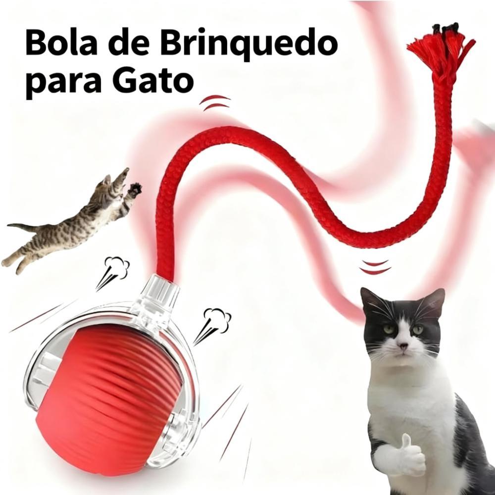 Bola de Brinquedo para Gato – Bola de Brinqu