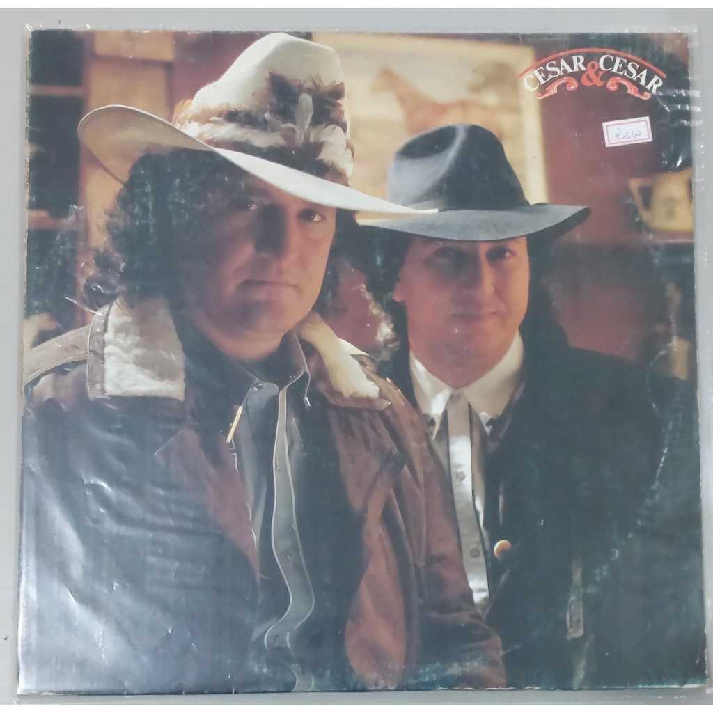 LPs / Discos de Vinil de Musicas Sertanejas *(DISC