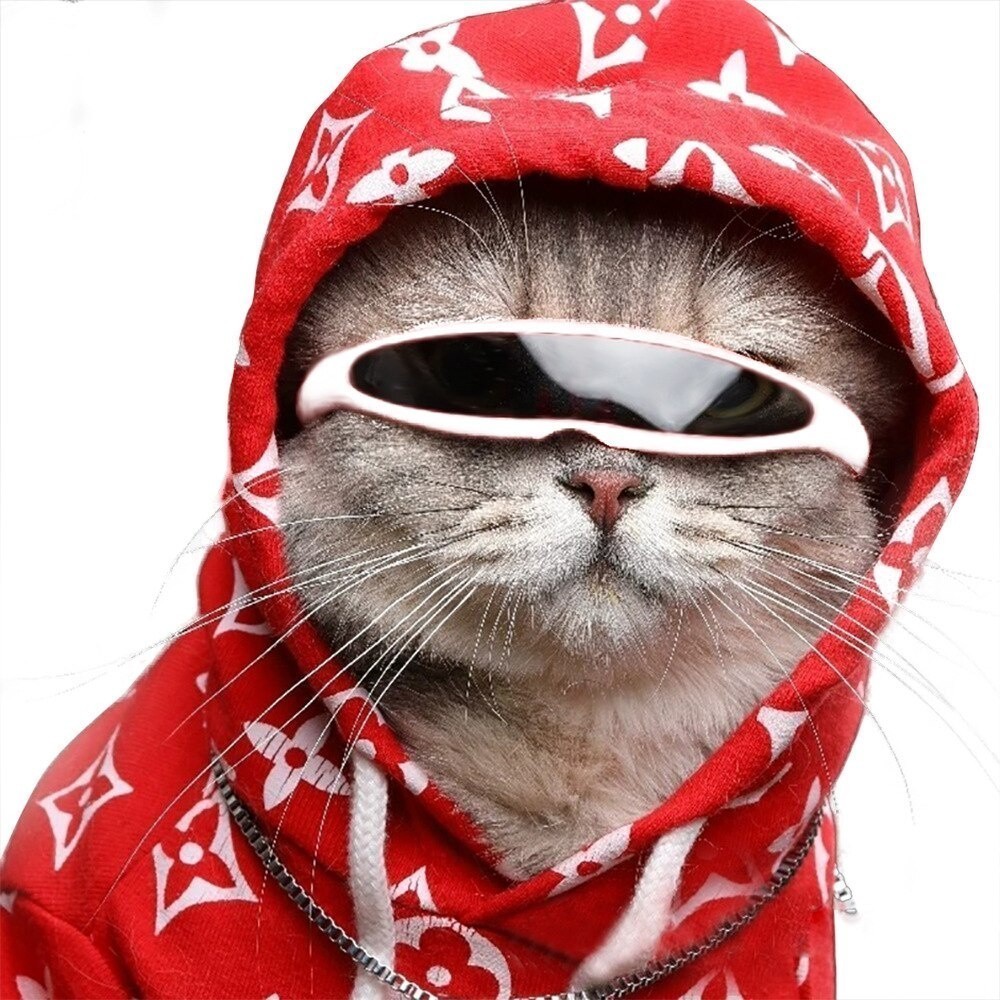 Óculos Para Animais De Estimação Gato De Sol En