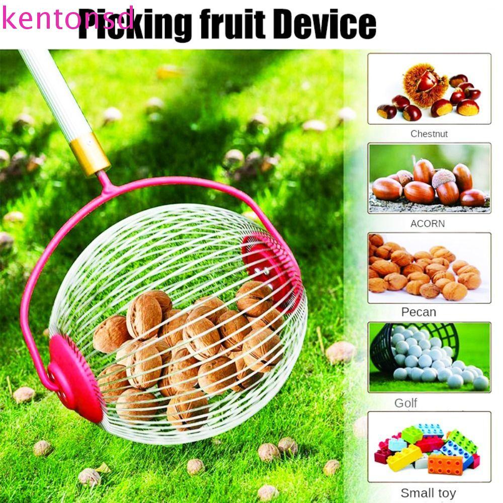 KENTONSD Coletor De Bola , Porca Frutas , Ferramen