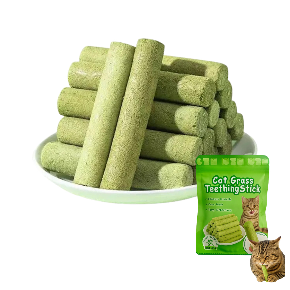 Palitos De Grama Para Gatos Mastigar Cuidados Com 