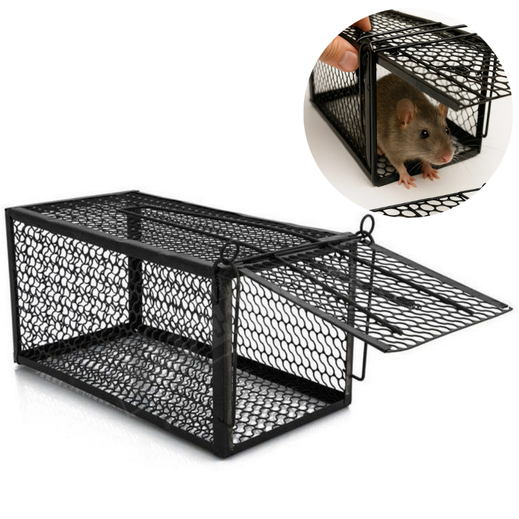 Kit 1 Ratoeira Armadilha Gaiola Ratoeira Automáti