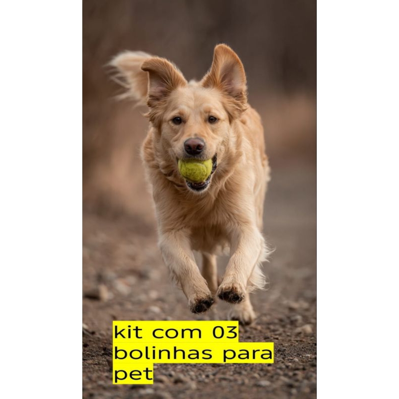 kit 03 bolas de tenis macias e resistentes para pe