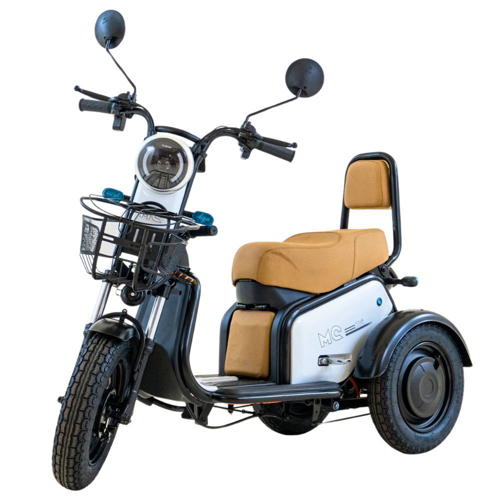 Triciclo Elétrico JOY TRI 600w | MOTO CHEFE