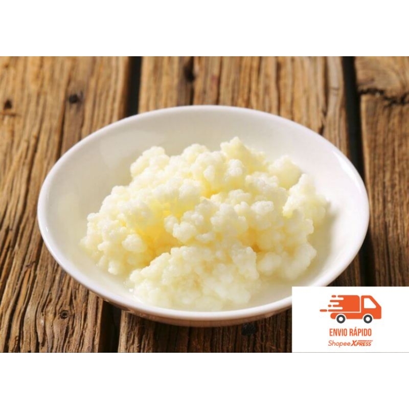 porção de Kefir de leite ativo infinito ( envio 