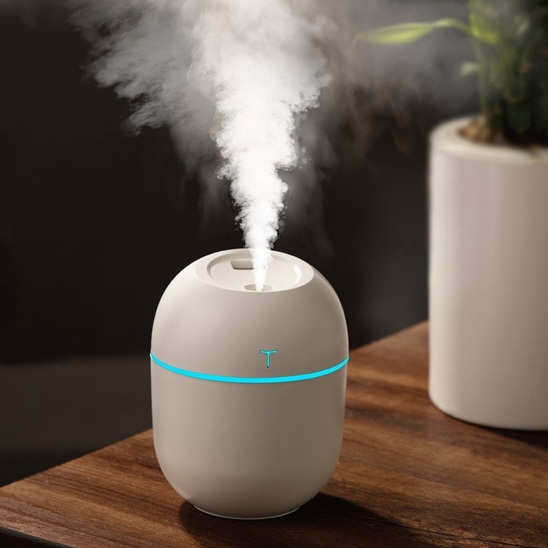 Mini Umidificador Difusor Egg USB Portátil com LE