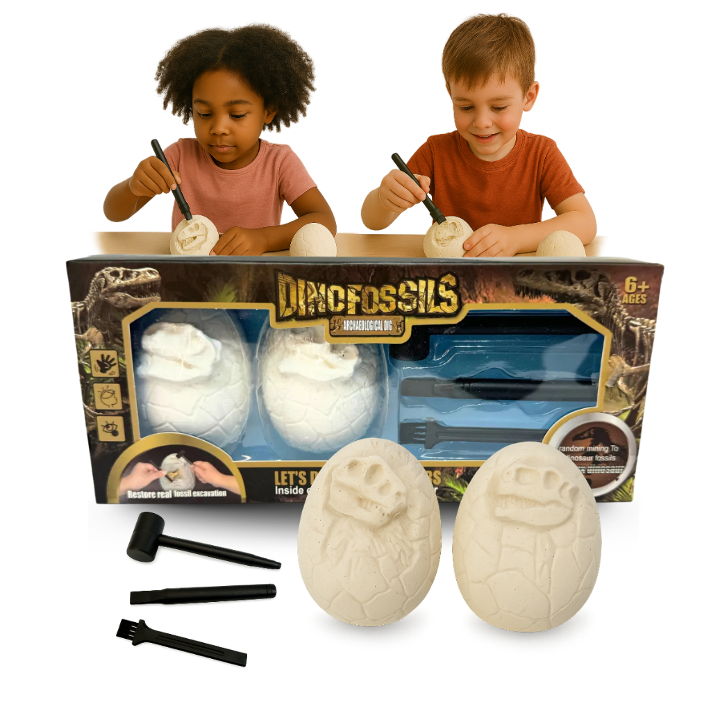 Kit De Escavação Fósseis Dino Fossil Arqueologi