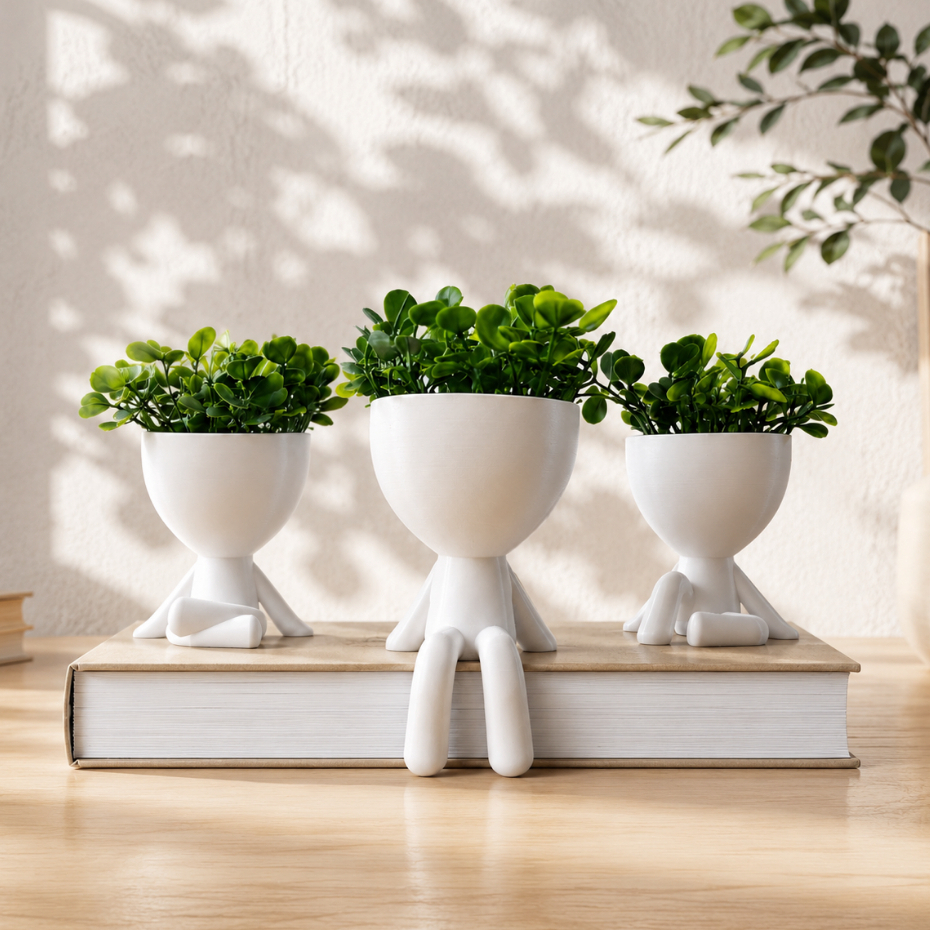 Kit 3 Mini Vasinhos Com Plantas 6cm Robert Plant C