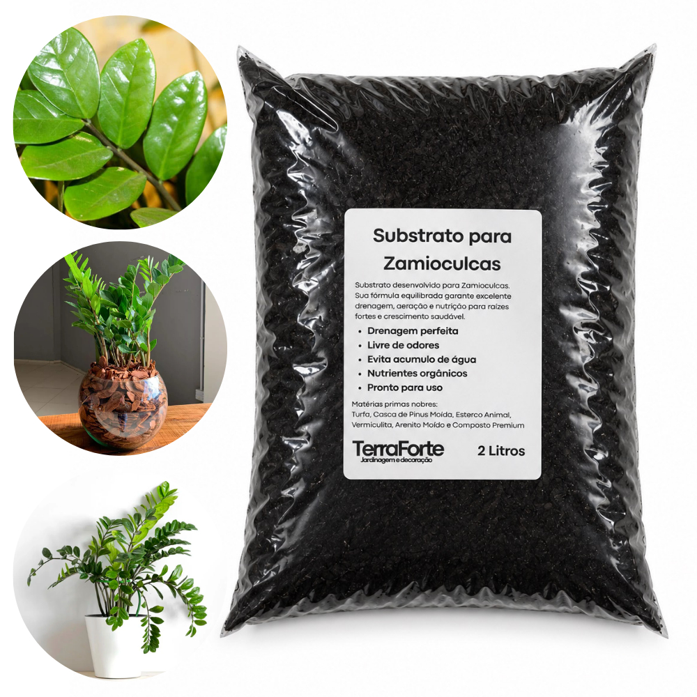 Substrato para Zamioculca  Planta da Fortuna / Pro