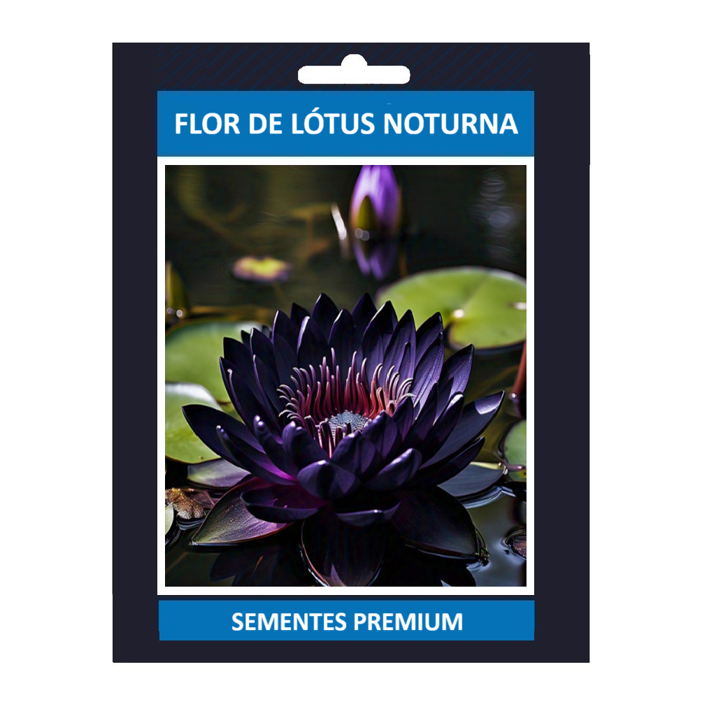 10 Sementes de Flor de Lótus Noturna (Nelumbo obs