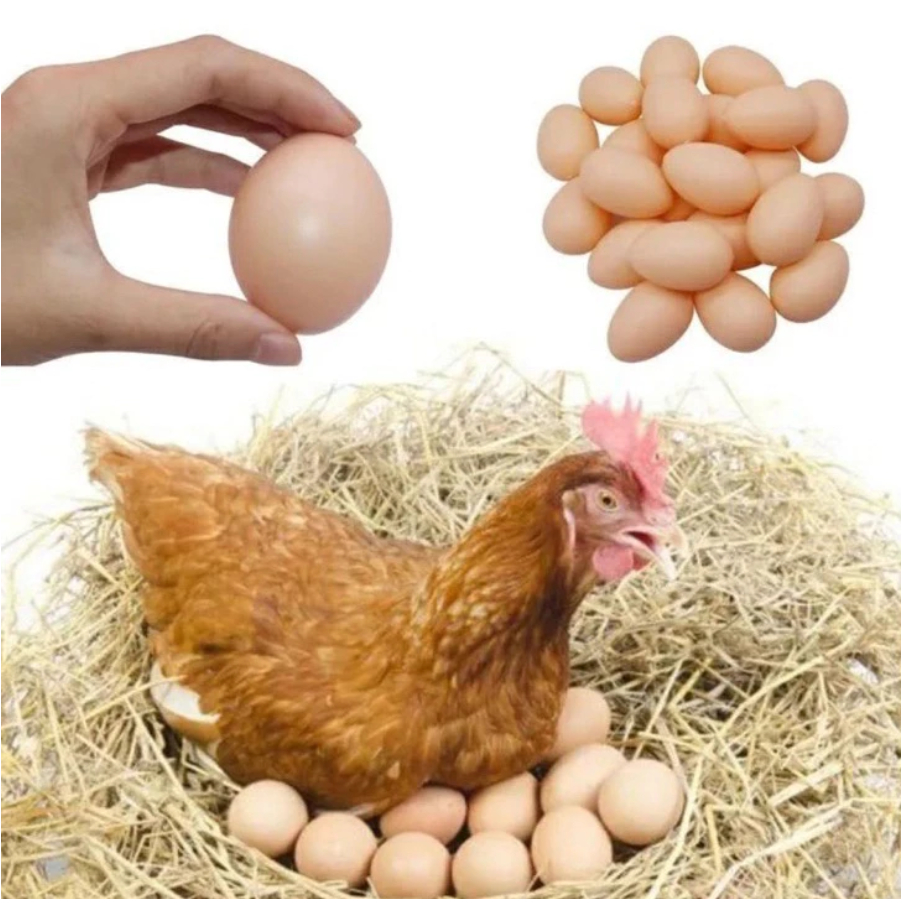 Kit 12 Ovos Falsos De Plástico Para Indez Galinha