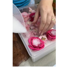 Sílica Gel Branca para desidratar flores – 