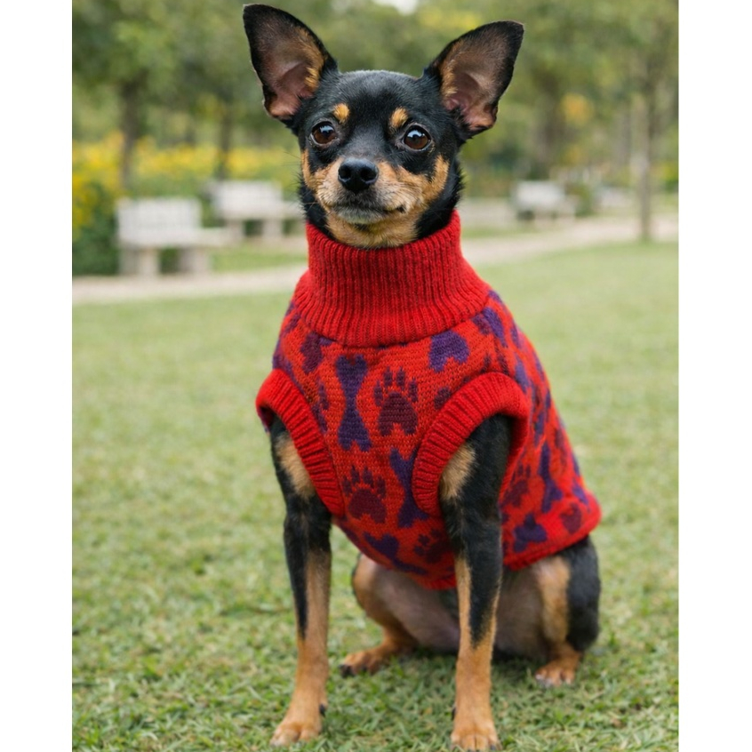 Roupa Inverno para Cães Lã tricot Macia e Confo