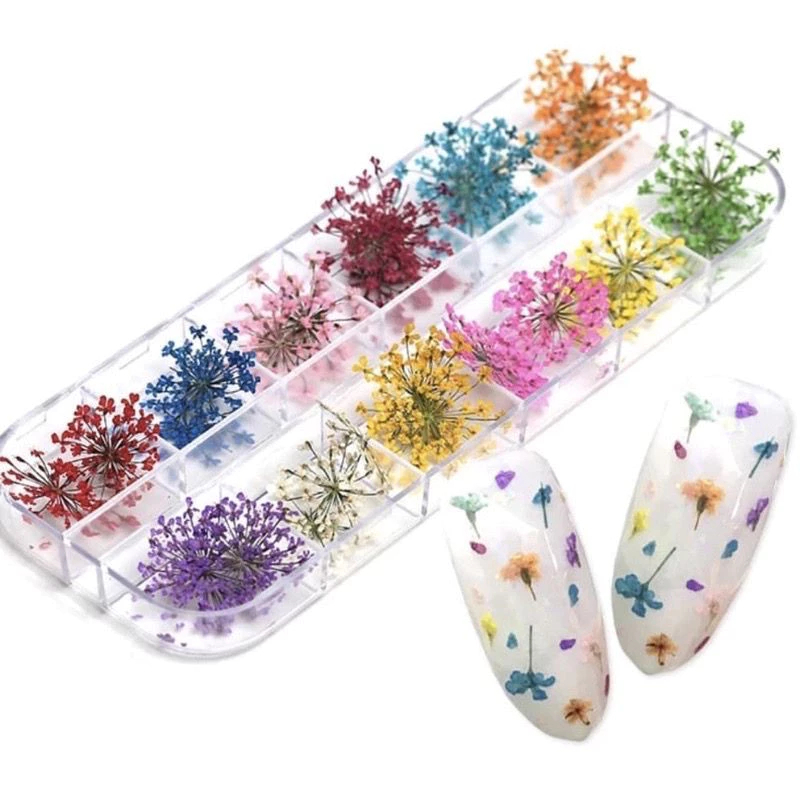 Flores Secas Encapsulamento Decoração Unhas De G