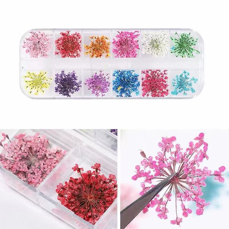 12 Cores Flores Secas para Unhas Nail Art Encapsul