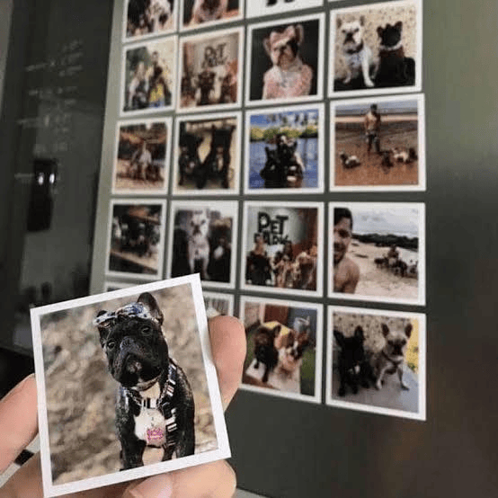 Foto Ímã de Geladeira Personalizado QUADRADO |  