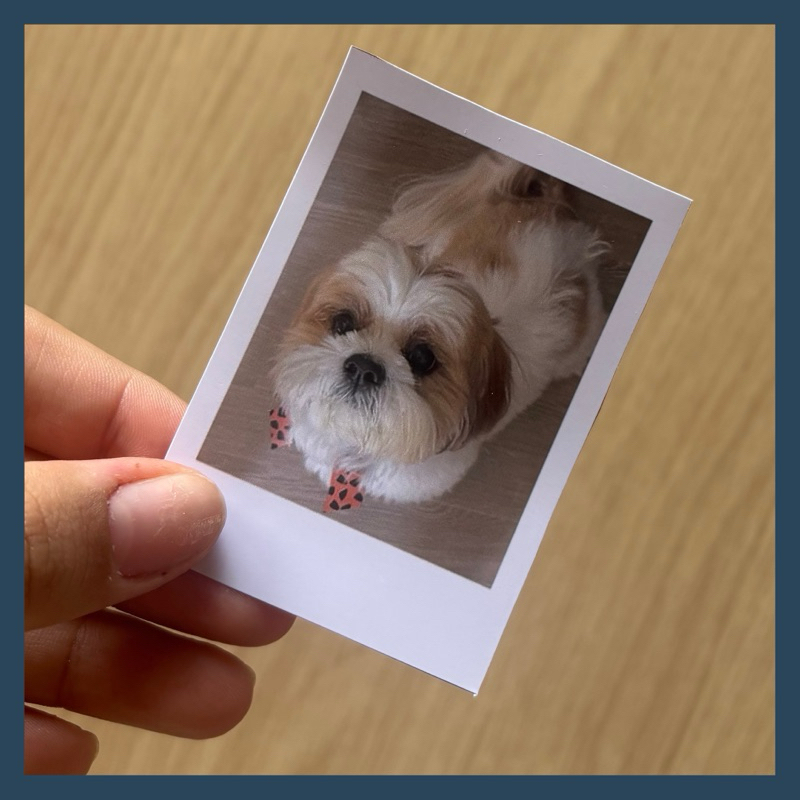Fotos Polaroid Personalizadas – Impressão d