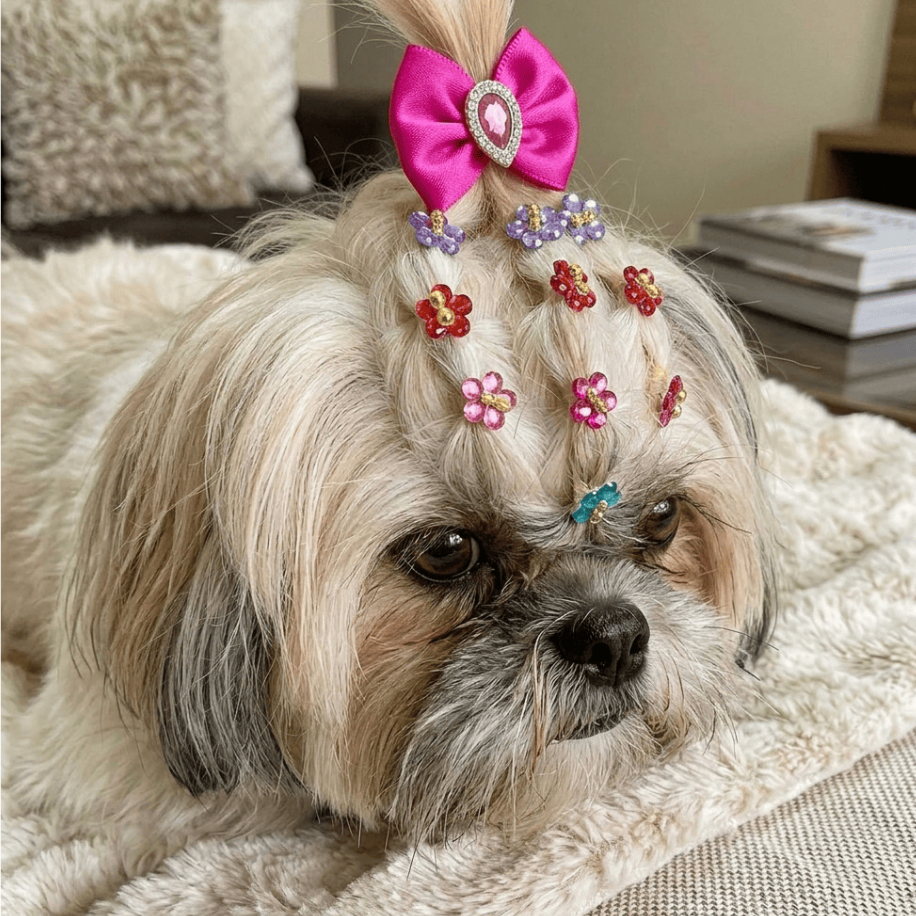 50 Laços Pet Para Penteado Com Elástico Flor Cha
