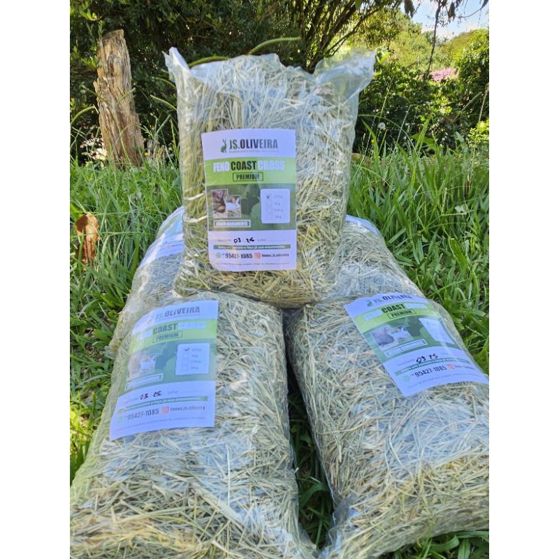 5KG de Feno Tifiton Premium, para coelhos, porquin