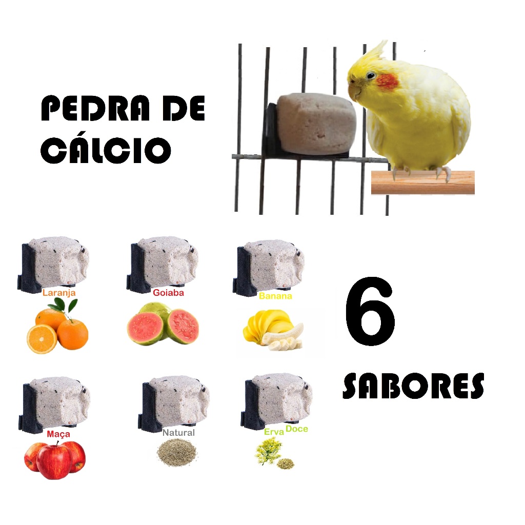 Cálcio para Calopsita  Kit 6 Blocos Bica Bica Vá