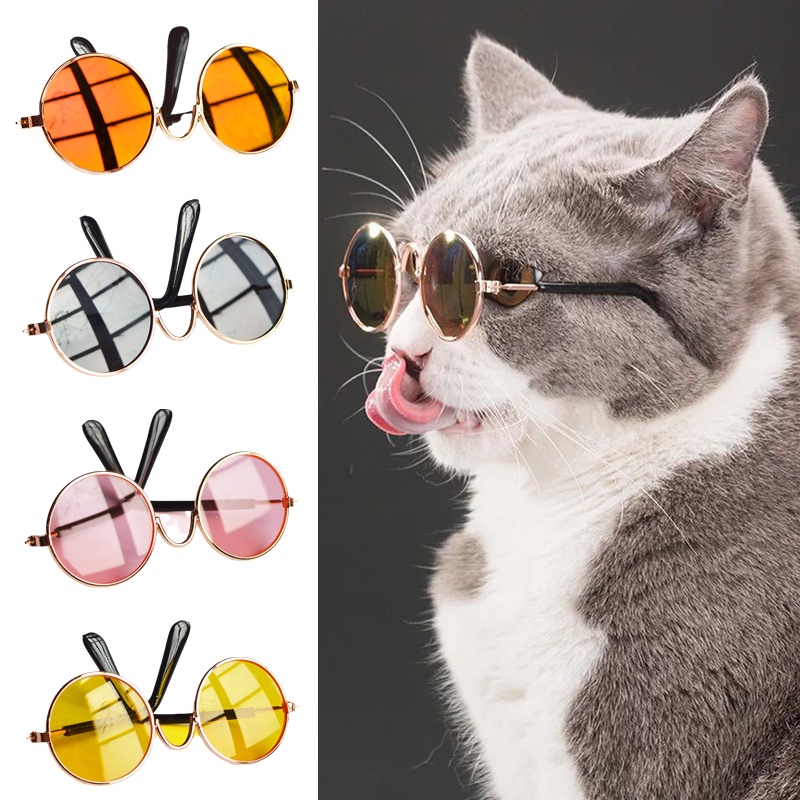 Moda Gato Cachorro Óculos De Sol Redondo Transpar