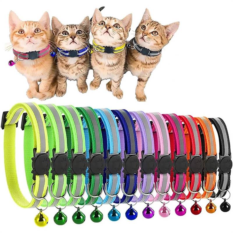 Mantenha Seu Gato Seguro E Elegante Com Esta Colei