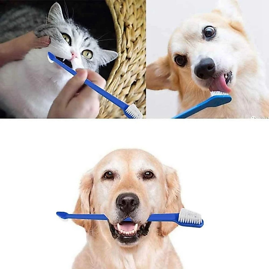 Escova dente dupla para pet cachorro cão gato 22c