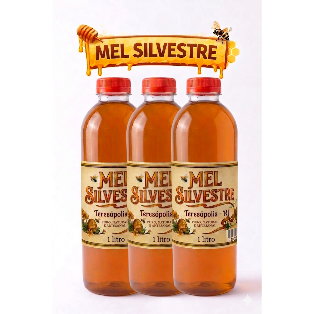 Mel Puro de Abelha Silvestre Orgânico op. Garrafa