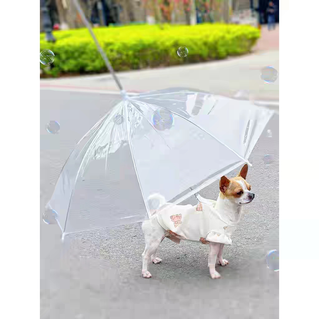 Guarda-Chuva Pet Invertido Transparente com Guia p