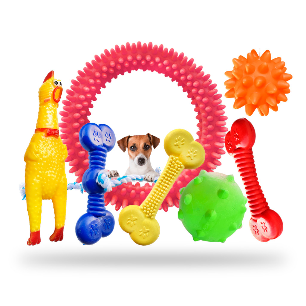Kit Brinquedo Cachorro Pet Pequeno Porte Brinquedi