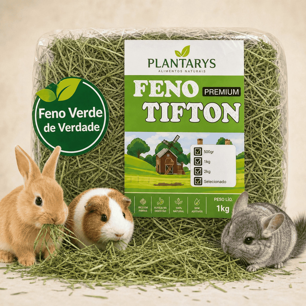 Feno Natural 2kg Tifton Coelho Porquinho da Índia