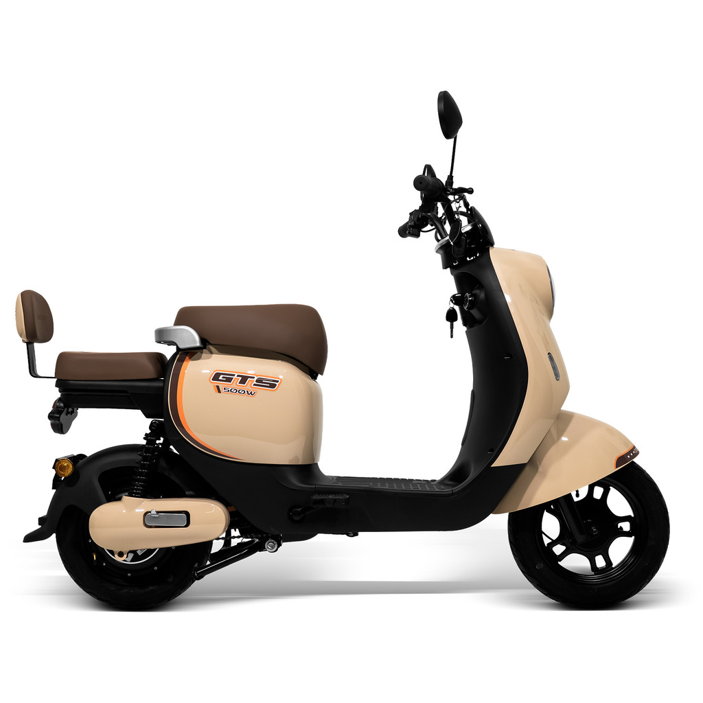 Scooter Elétrica GTS 500w 48V 20Ah JD-06