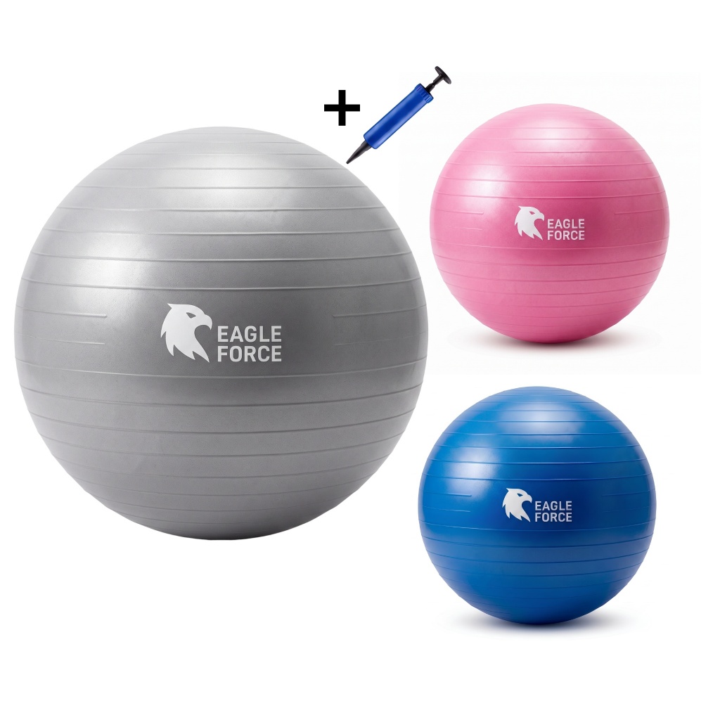 Bola de Ginástica Suíça Yoga Pilates 55/65cm co