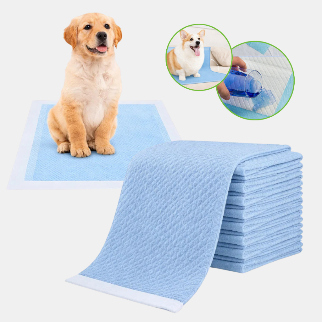Tapete Higiênico Para Pet 60x60cm Cães Gatos Fra