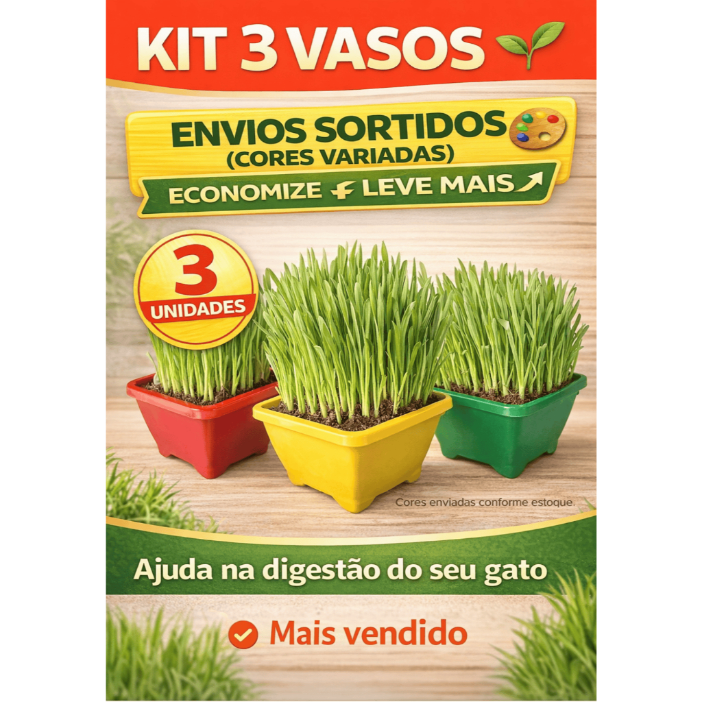 Kit Graminha para Gatos 3 Vasos Ajuda Digestão e