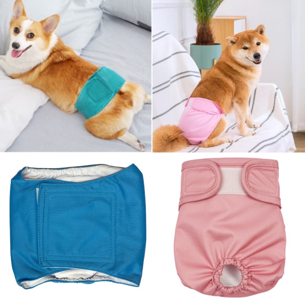 Fralda para Pet Roupa Íntima Higiênica Reutiliz�