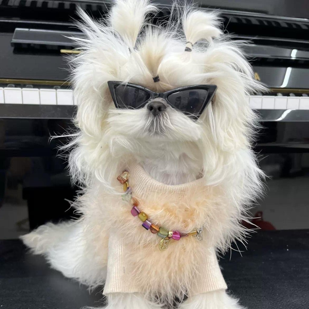 Óculos Pet Fashion Anti-UV | Estilo Luxo para Cã