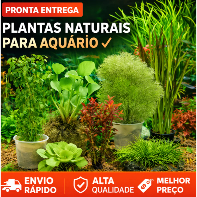 Decoração para Aquários Plantados e Lagos ̵