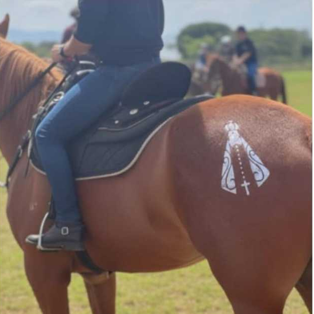 Moldes para tatuagem temporária em cavalos –