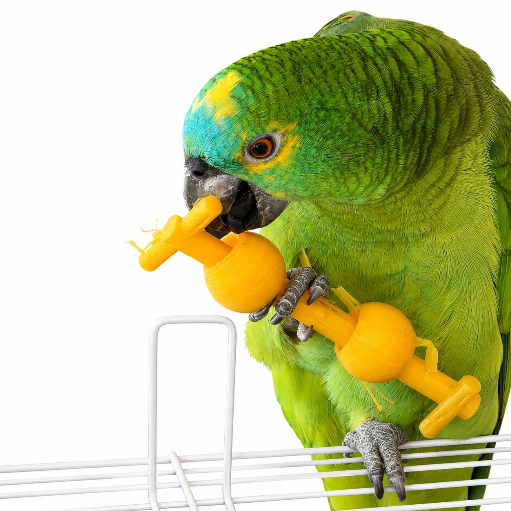 Brinquedo Interativo Para Aves Bastão Com Argola